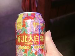 -山河屯铁锅炖(哈西站店)