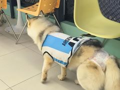 -怪兽屋·羊驼·猫咖·狗咖(俊华广场店)