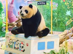-广州长隆野生动物世界