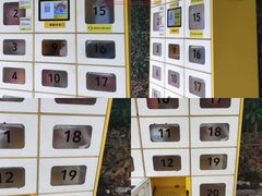 -东华大学(松江校区)