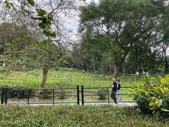 -广州市白云山风景名胜区