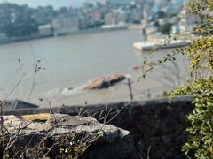 -东沙渔村
