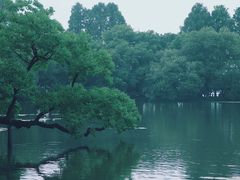 -西湖游船