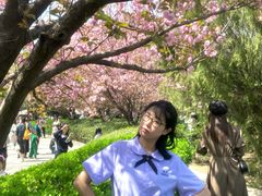 -西安青龙寺遗址景区