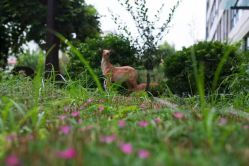 -雪绒花月子会所(祥盛店)