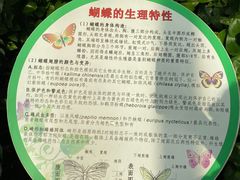 -上海大自然野生昆虫馆(东方明珠·爬宠昆虫探索中心)