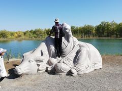 -金塔沙漠胡杨林景区
