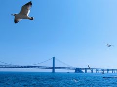 -星海湾跨海大桥
