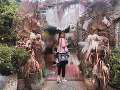 -The Grounds of Alexandria