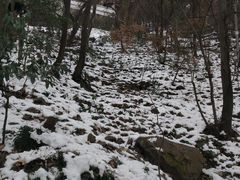 -惠山国家森林公园