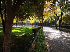 -山东大学(趵突泉校区)