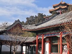 -宫事颐庭·老佛爷贵寿下午茶(颐和园店)