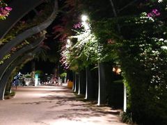 -布里斯班南岸公园
