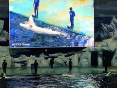 -福州罗源湾海洋世界旅游区