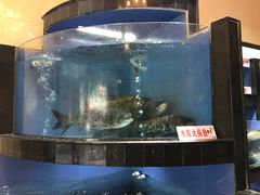 -岭南海晏楼(东晓南店)