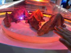 -侏罗纪世界电影特展(广州站)