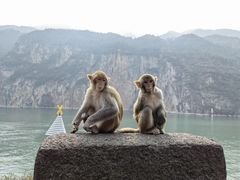 -白帝城·瞿塘峡景区