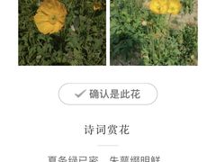 -香山公园