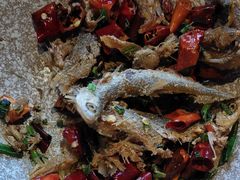 -印象鲵宴·张家界地标美食名片(溪布街店)