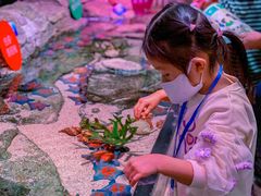 -沈阳海洋探索中心