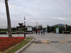 -芒洲湿地公园