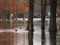 -白鹭湾湿地公园