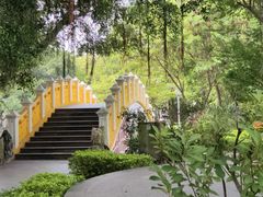 -中山公园