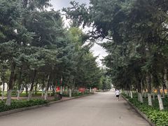 -东北农业大学