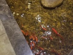 -徽品轩·徽菜馆·地道徽菜(合作经济广场店)