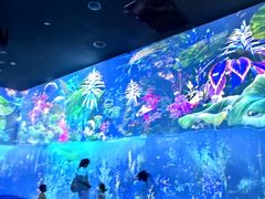 -中国湿地博物馆