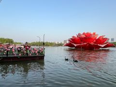 -洛阳市隋唐城遗址植物园