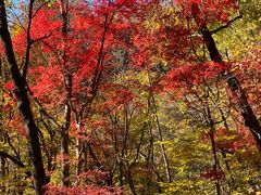 -关门山森林公园