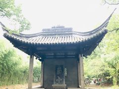 -兰亭风景区