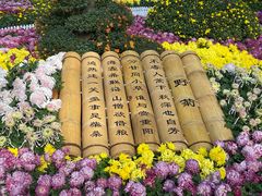 -汇龙潭