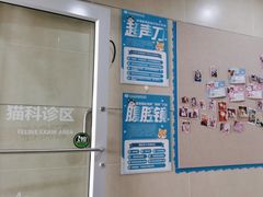 -谐和益家动物医院·免疫绝育·血液透析·宠保定点医院(高新伊藤分院)