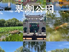 -翠湖公园