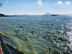 -海埂大坝