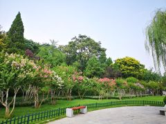 -济南大明湖景区