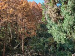 -青城山