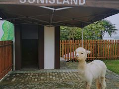 -太阳岛度假酒店