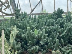 -南山植物园