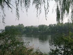 -亲兄弟真人CS团建拓展基地