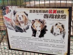 -青藏高原野生动物园