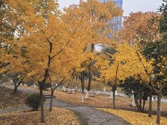 -堤角公园