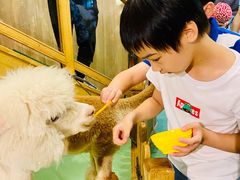 -藦茜花园宠物主题亲子互动体验馆(国顺东路店)