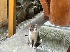 -十里琅珰