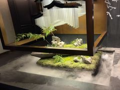 -蘇锦宴·淮扬菜烤鸭·小院(三元桥霄云路店)
