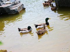 -上海怡沁园度假酒店