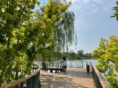 -东郊湿地公园