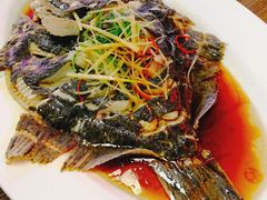 多宝鱼-睿柏云酒店-餐厅